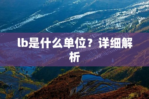 lb是什么单位?详细解析 lb是什么单位?详细解析