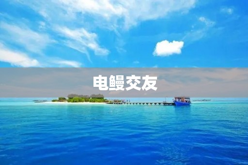 电鳗交友：探索不同领域的交流与连接