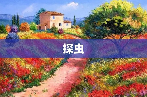 探虫:革新即时通讯,连接你我 探虫:革新即时通讯,连接你我