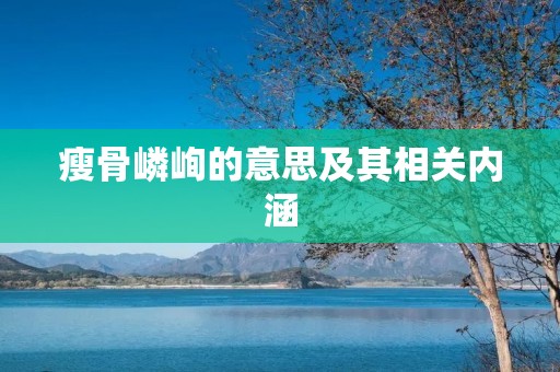 瘦骨嶙峋的意思及其相关内涵