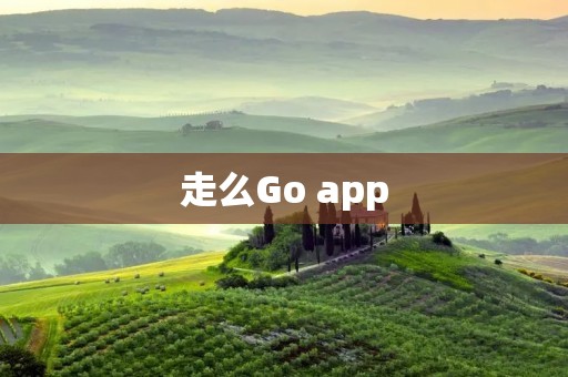 走么Go app：畅行无忧的出行助手