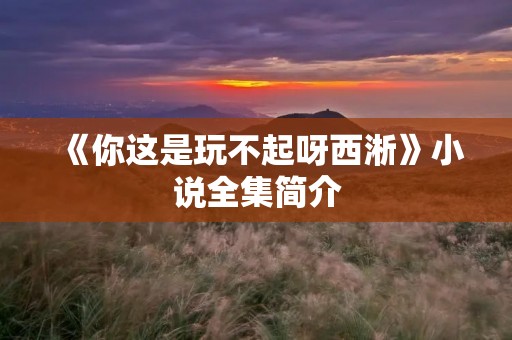 《你这是玩不起呀西淅》小说全集简介