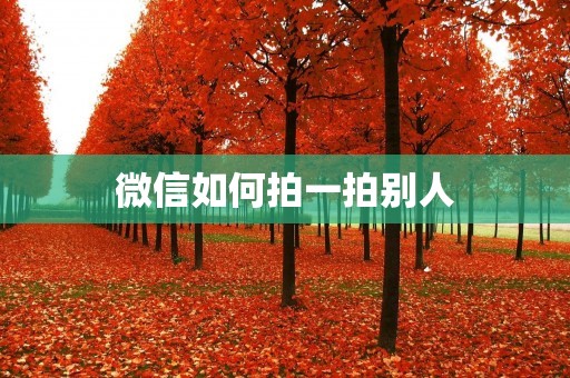 微信如何拍一拍别人:详解微信拍一拍功能的使用方法