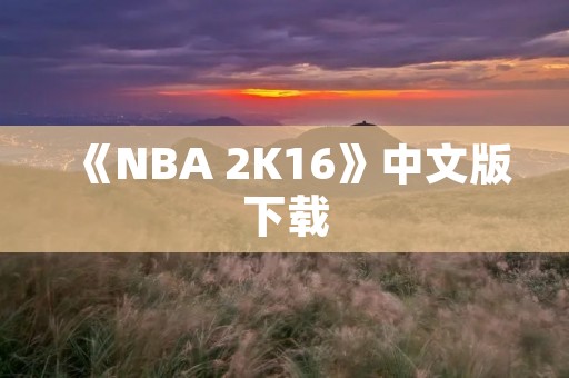 《NBA 2K16》中文版下载：带你体验最真实的篮球游戏！