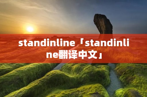 standinline「standinline翻译中文」