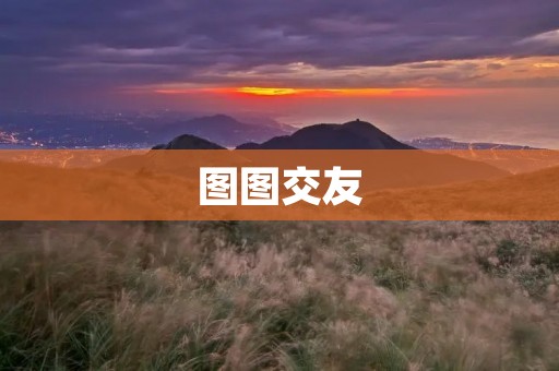 图图交友：打造快乐交友的社交平台