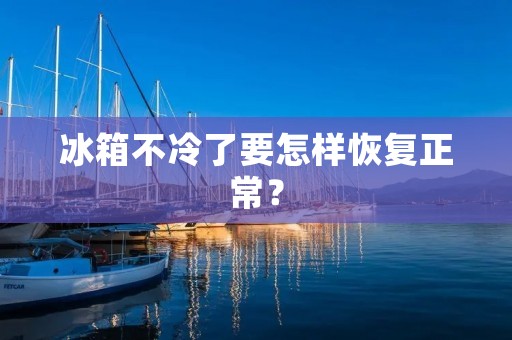 冰箱不冷了要怎样恢复正常？