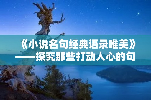 《小说名句经典语录唯美》——探究那些打动人心的句子