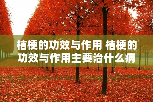 桔梗的功效与作用 桔梗的功效与作用主要治什么病