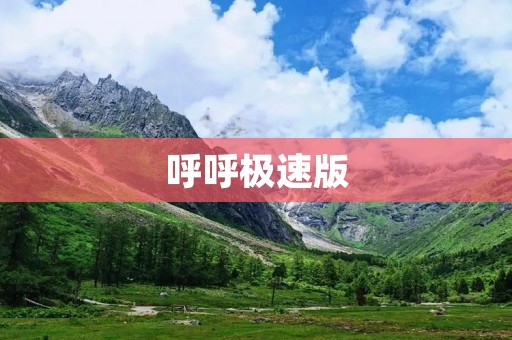 呼呼极速版：让您的手机更快速