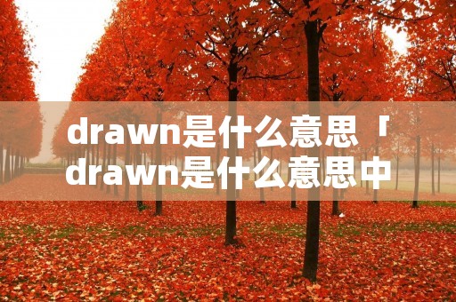 drawn是什么意思「drawn是什么意思中文翻译怎么读」