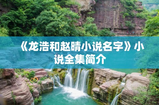 《龙浩和赵晴小说名字》小说全集简介