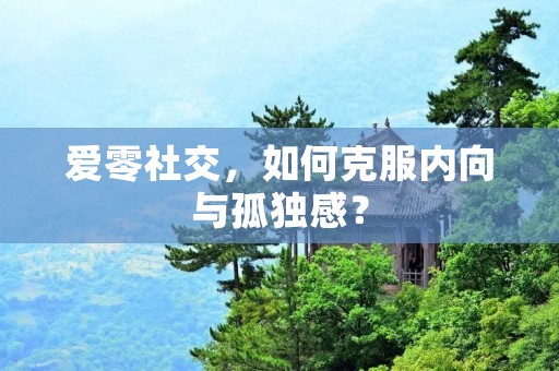 爱零社交,如何克服内向与孤独感? 爱零社交,如何克服内向与孤独感?