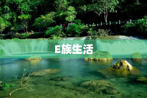 E族生活:打造智慧生活新时代 E族生活:打造智慧生活新时代