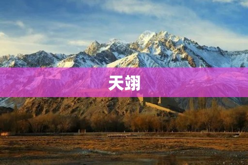 天翊:高效便捷的即时通讯工具 天翊:高效便捷的即时通讯工具
