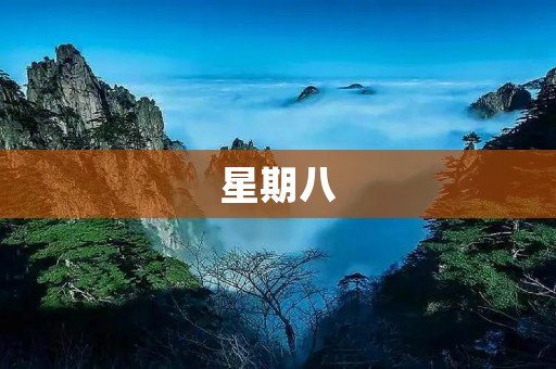 星期八：一周中最期待的日子