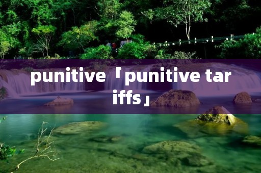 punitive「punitive tariffs」 punitive「punitive tariffs」