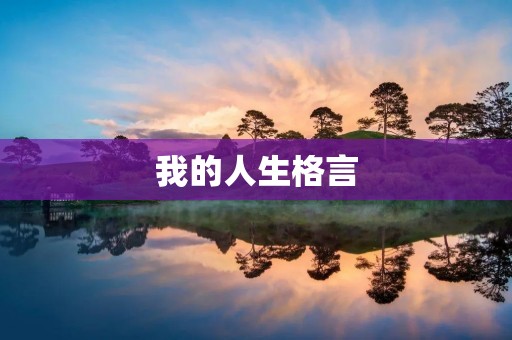 我的人生格言：勇敢追逐梦想，永不放弃