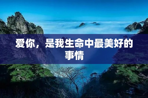 爱你,是我生命中最美好的事情 爱你,是我生命中最美好的事情