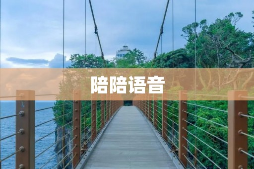 陪陪语音：打开心灵的窗户，与智能助手畅聊