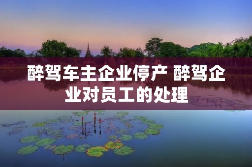 醉驾车主企业停产 醉驾企业对员工的处理 醉驾车主企业停产 醉驾企业对员工的处理