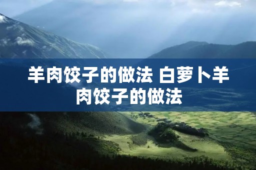 羊肉饺子的做法 白萝卜羊肉饺子的做法