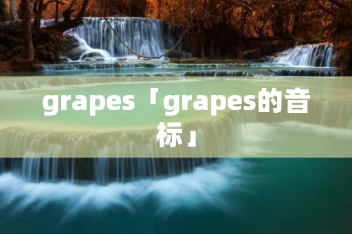 grapes「grapes的音标」