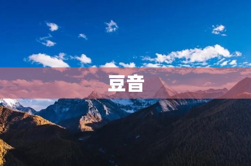 豆音：让音乐与科技融合的创新之声