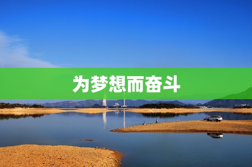 为梦想而奋斗：如何用努力实现自己的目标