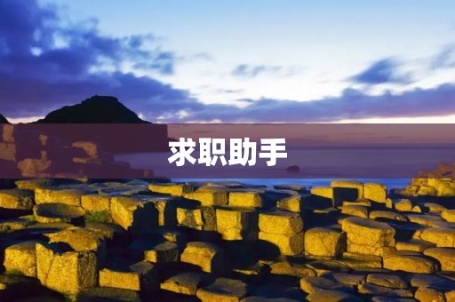 求职助手：让你的求职之路更加顺畅