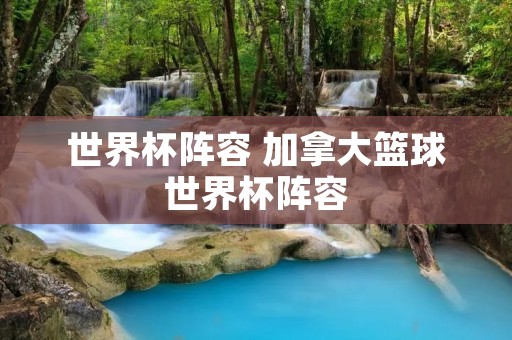 世界杯阵容 加拿大篮球世界杯阵容