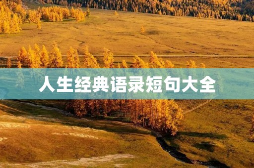 人生经典语录短句大全：用智慧点亮人生的每个瞬间