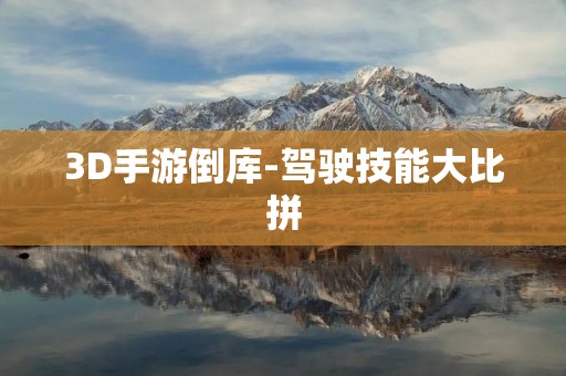 3D手游倒库-驾驶技能大比拼
