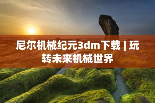 尼尔机械纪元3dm下载 | 玩转未来机械世界