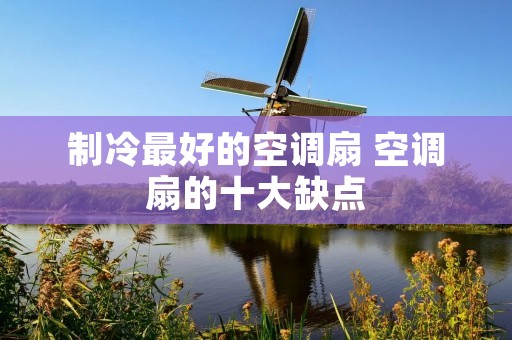 制冷最好的空调扇 空调扇的十大缺点 制冷最好的空调扇 空调扇的十大缺点