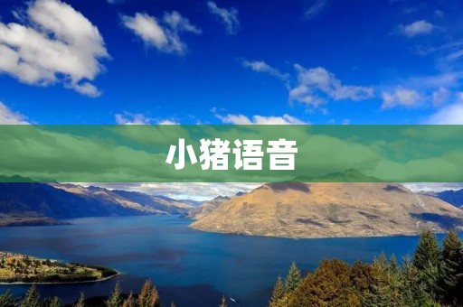 小猪语音:让你的生活更便捷和智能的语音助手 小猪语音:让你的生活更便捷和智能的语音助手