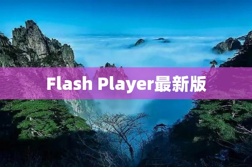 Flash Player最新版:安全、稳定、兼容性强 Flash Player最新版:安全、稳定、兼容性强