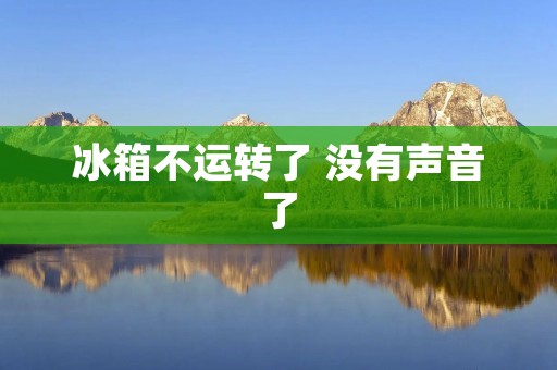 冰箱不运转了 没有声音了：如何解决冰箱无声运转的问题
