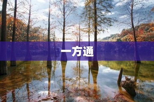 一方通：实现网络通讯的高效便捷方式