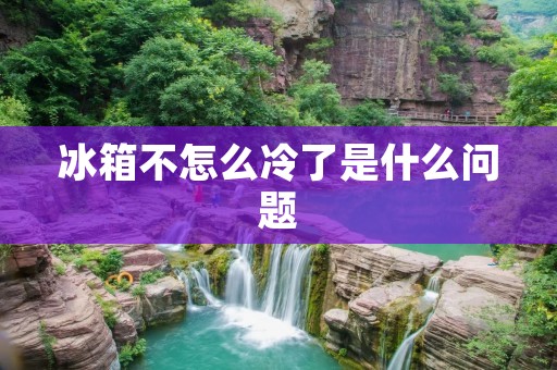 冰箱不怎么冷了是什么问题