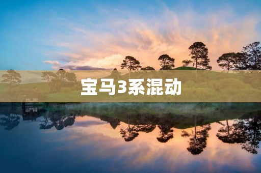 宝马3系混动:引领高效出行的绿色未来 宝马3系混动:引领高效出行的绿色未来