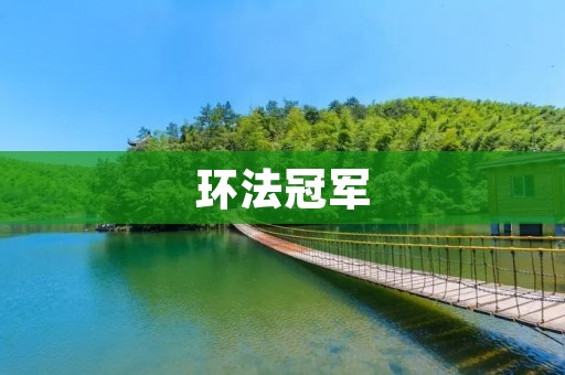 环法冠军：探寻背后的荣耀与付出