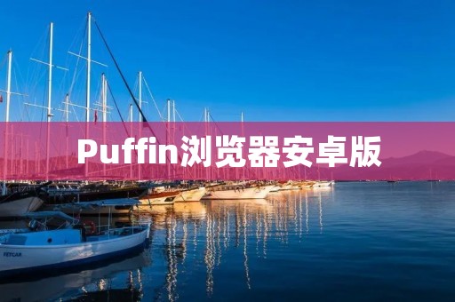 Puffin浏览器安卓版:让你的网页浏览更快更流畅 Puffin浏览器安卓版:让你的网页浏览更快更流畅