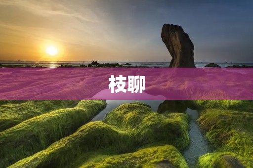 枝聊：重新定义即时聊天，让交流更加智能高效