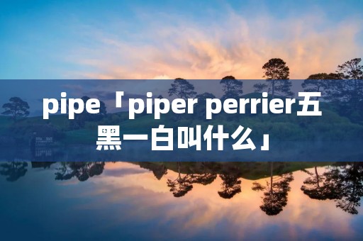 pipe「piper perrier五黑一白叫什么」