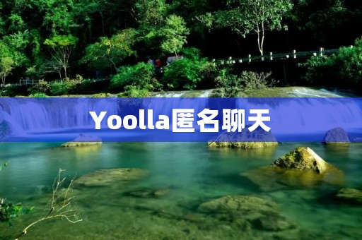 Yoolla匿名聊天:保护隐私的沟通平台 Yoolla匿名聊天:保护隐私的沟通平台