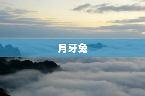 月牙兔:神秘的月亮守护者 月牙兔:神秘的月亮守护者