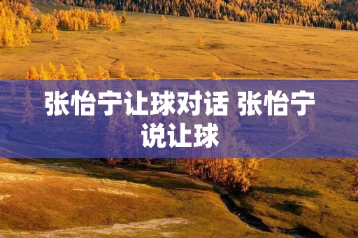 张怡宁让球对话 张怡宁说让球