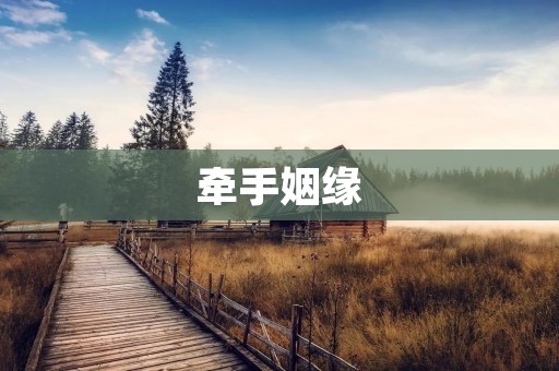 牵手姻缘：缘起于一次偶然的相遇
