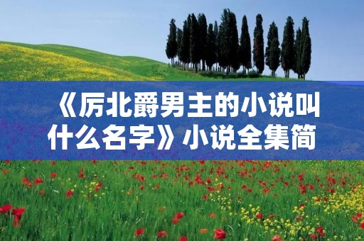 《厉北爵男主的小说叫什么名字》小说全集简介
